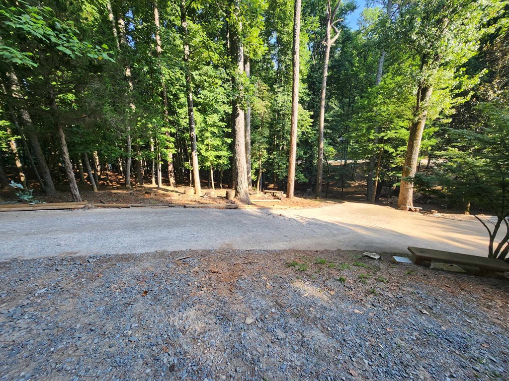 405021 Ellijay Residential