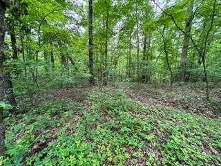 405048 McCaysville Land