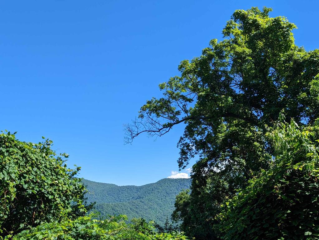 405159 Hayesville 