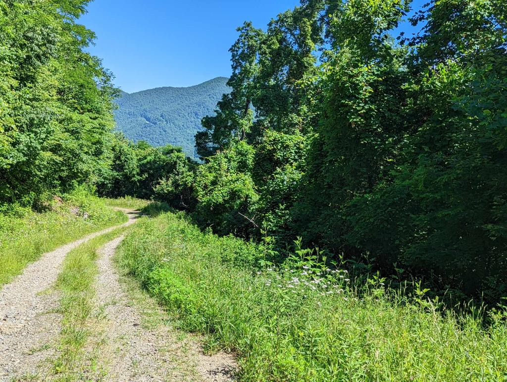 405160 Hayesville 