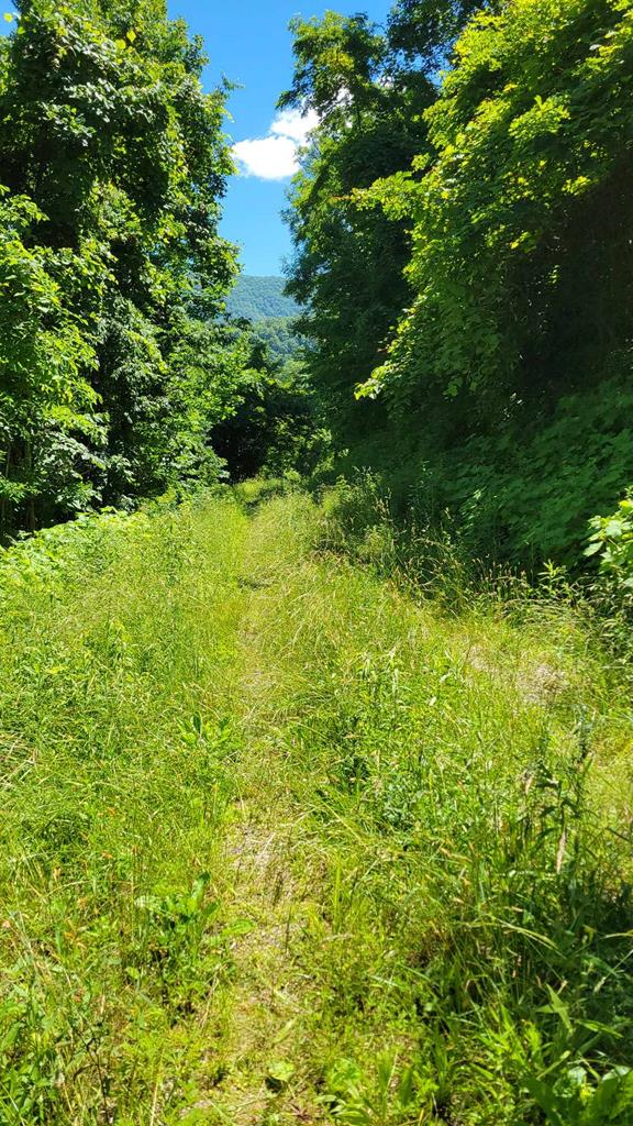 405162 Hayesville 