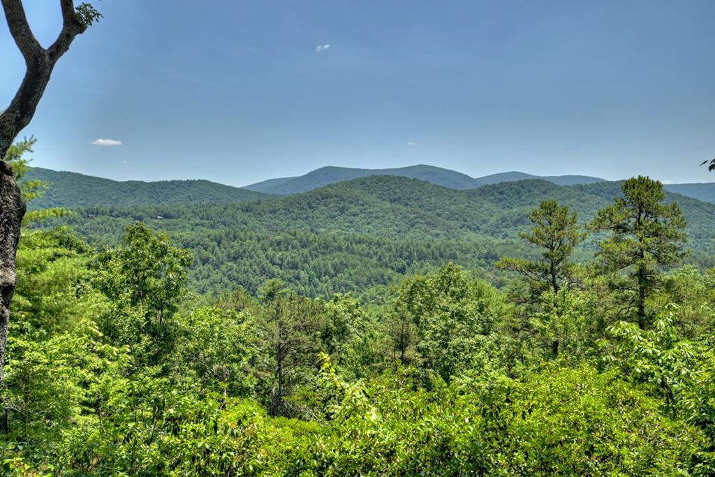 405190 Blue Ridge Residential