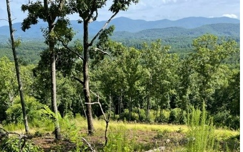 405350 Blairsville Land