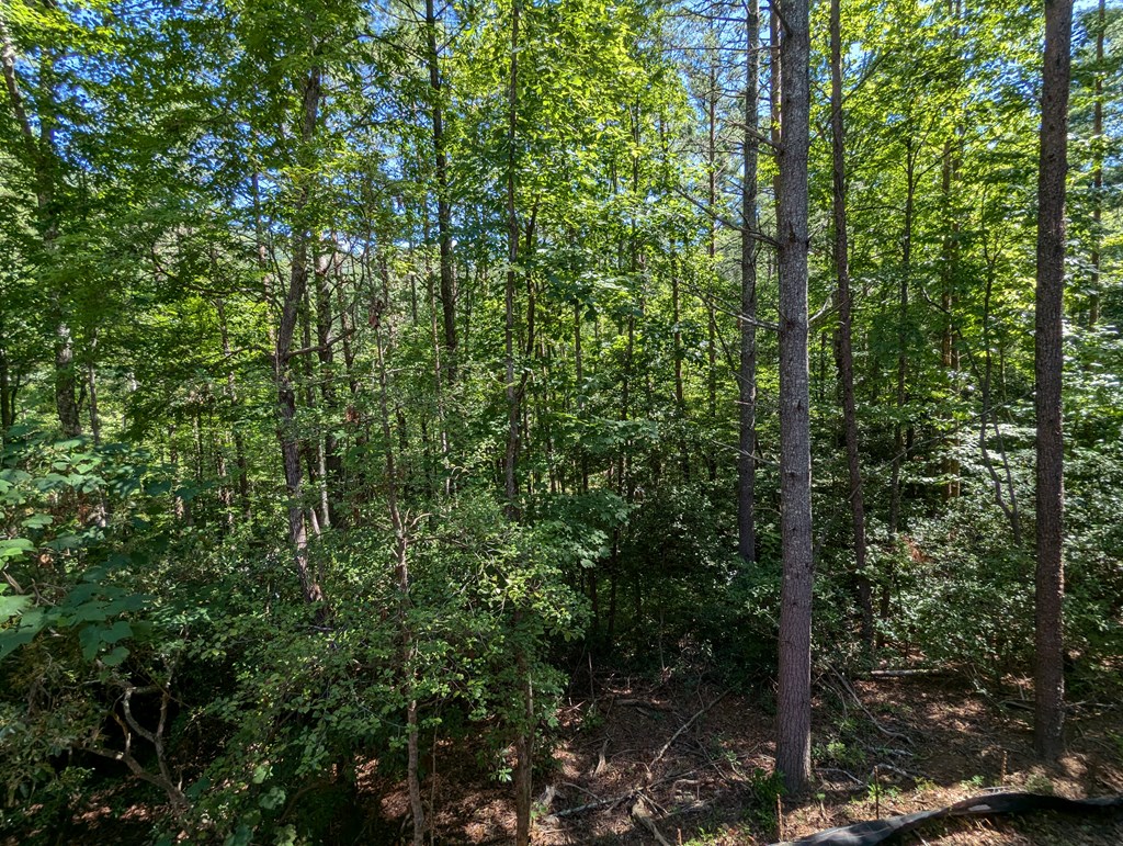 405506 Ellijay Residential