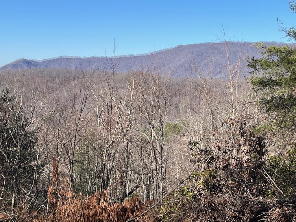 406628 Hayesville 