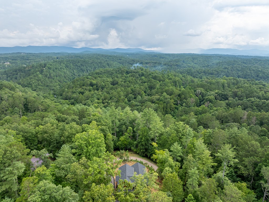 406673 Ellijay Residential