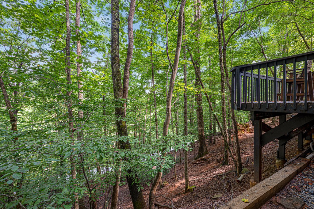 406972 Ellijay Residential