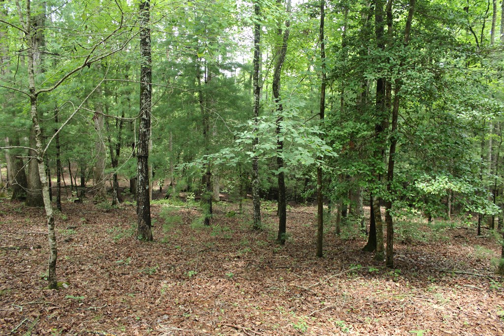 407082 Hayesville Residential