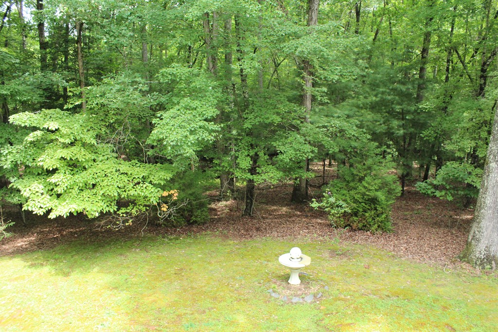 407082 Hayesville Residential