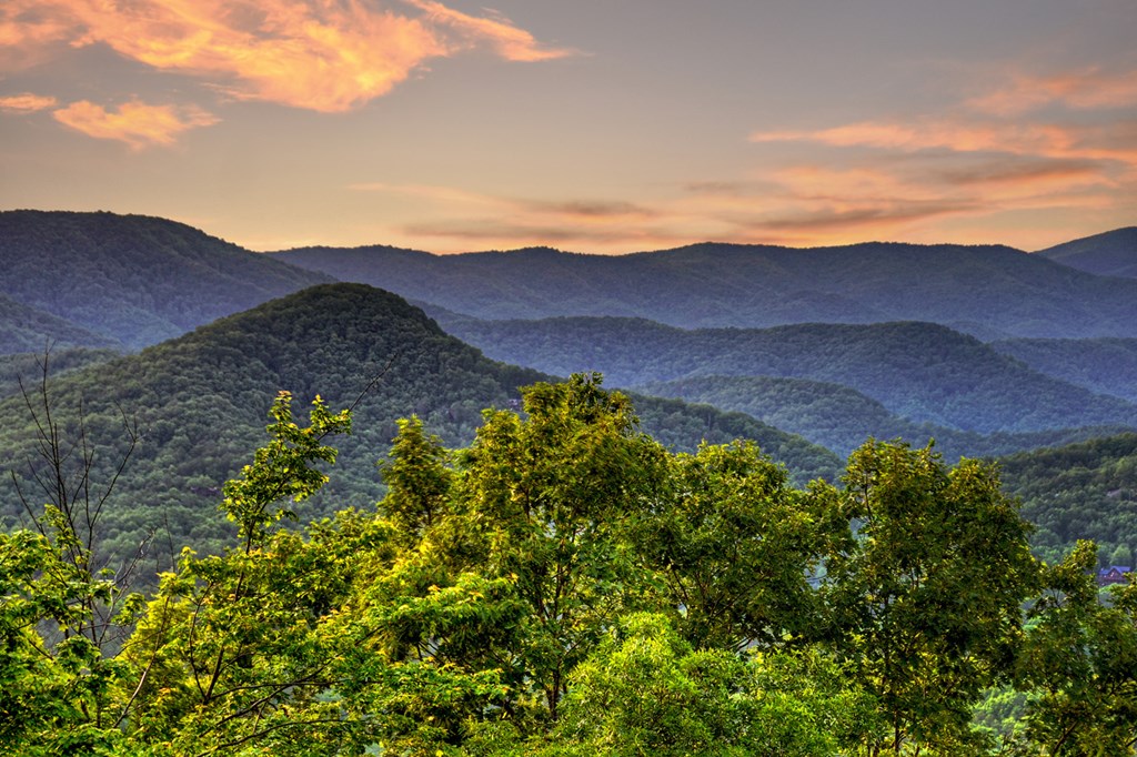 407117 Blue Ridge Residential