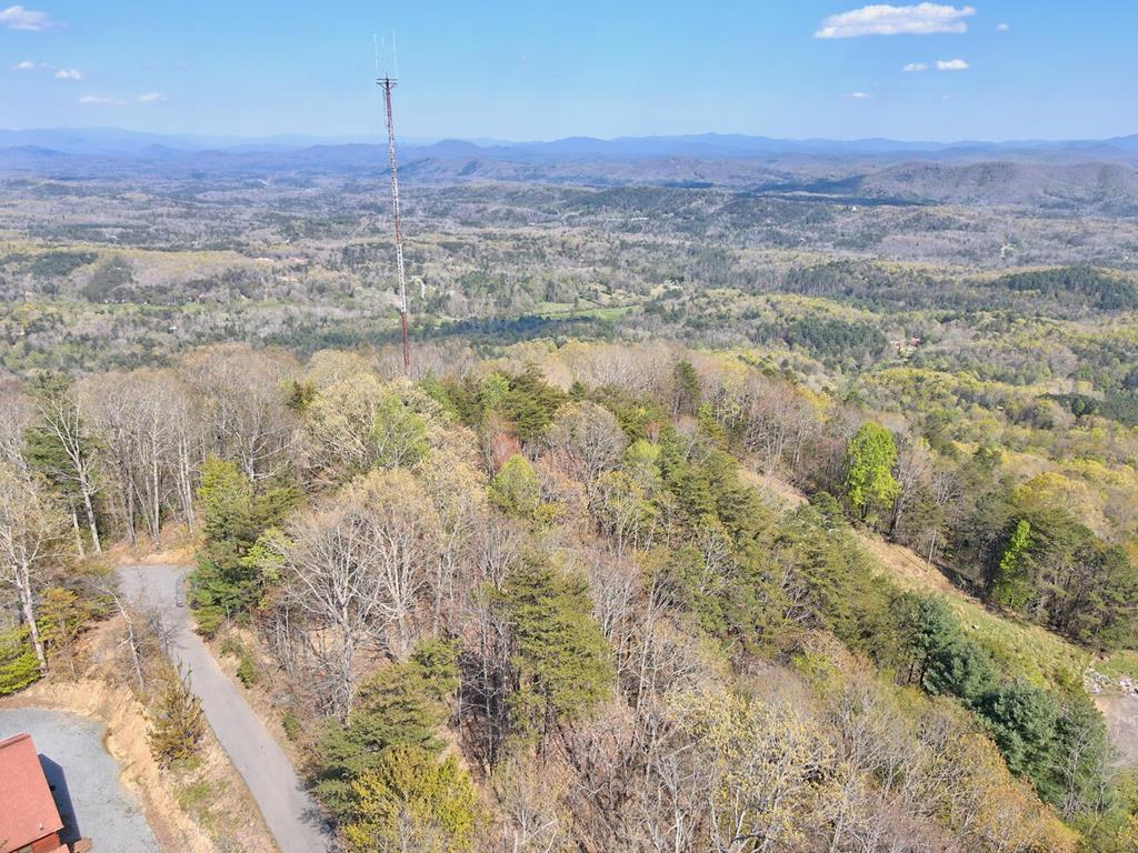 407275 Mineral Bluff Land