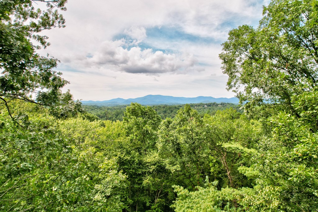 407311 Ellijay Residential