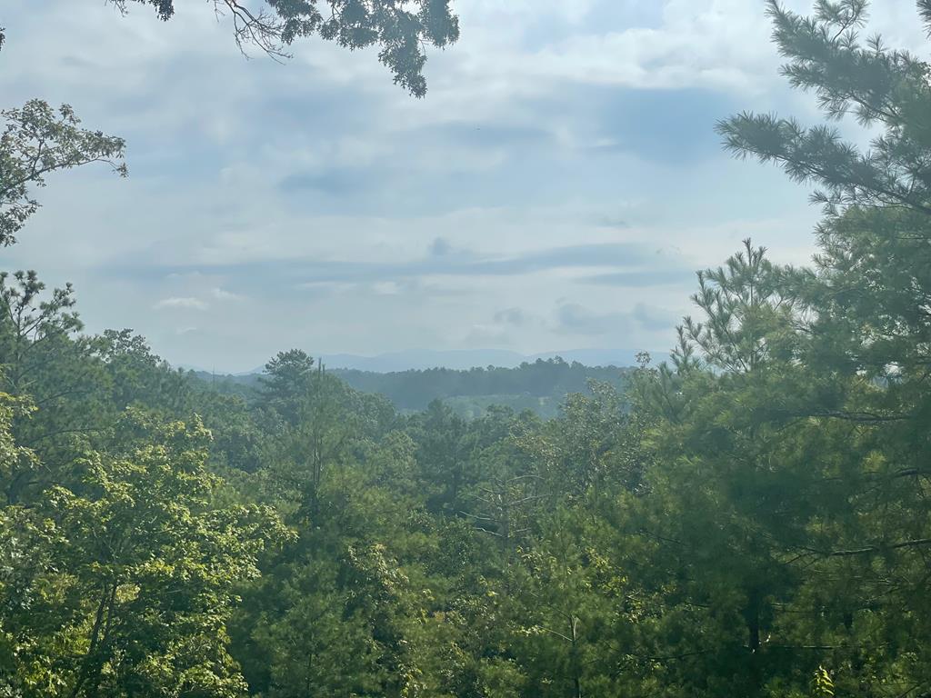 407429 Ellijay Residential