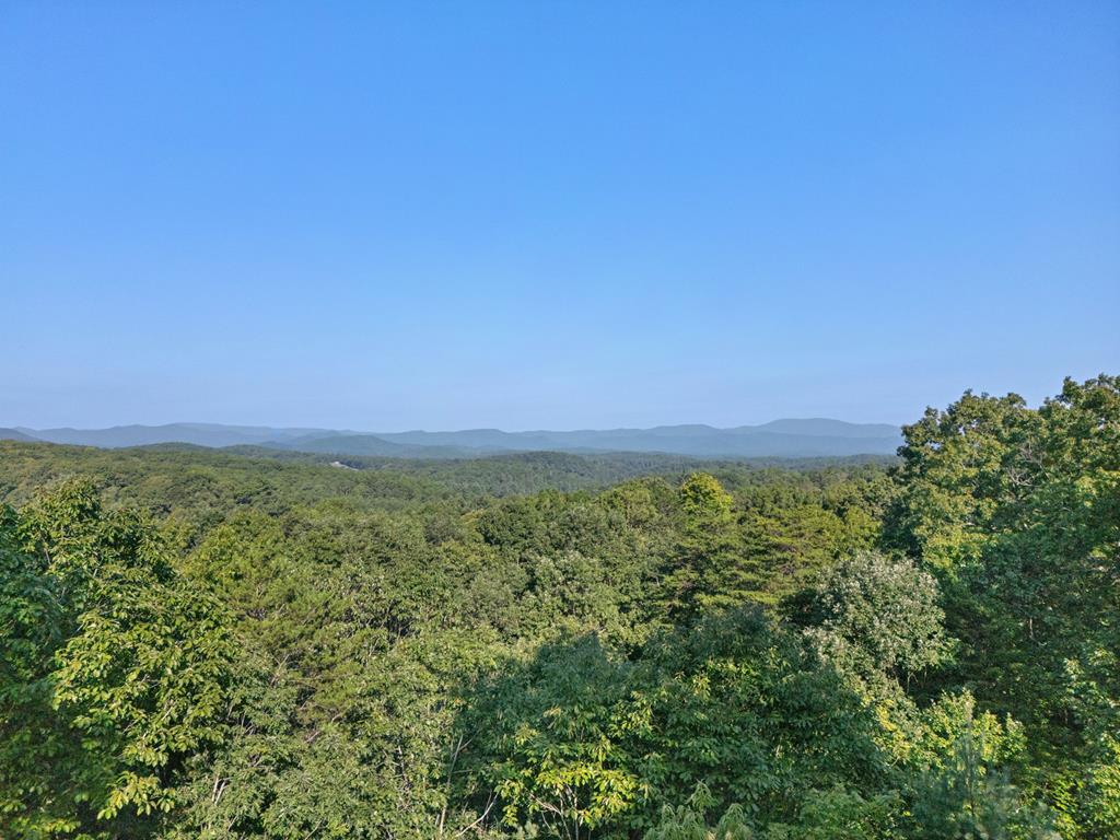 407464 Blue Ridge Residential