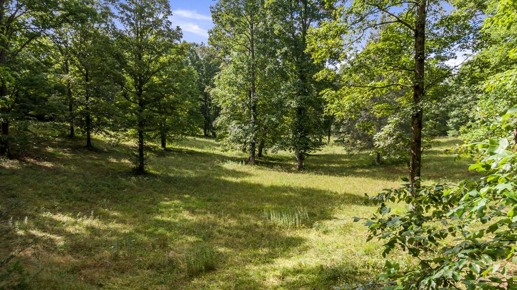 407505 McCaysville Land