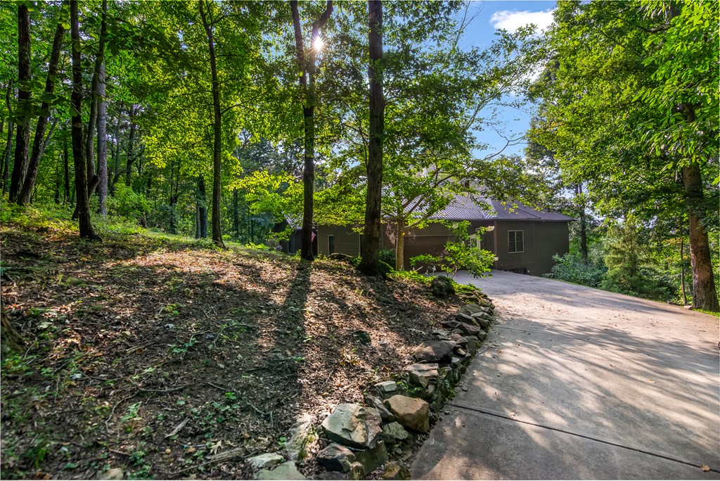 407516 Ellijay Residential