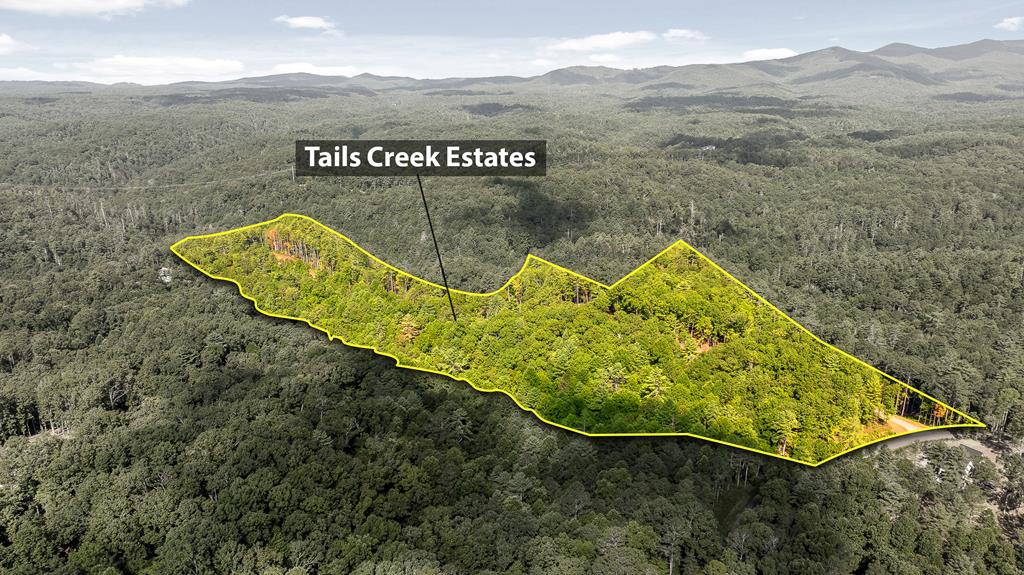 407550 Ellijay Land