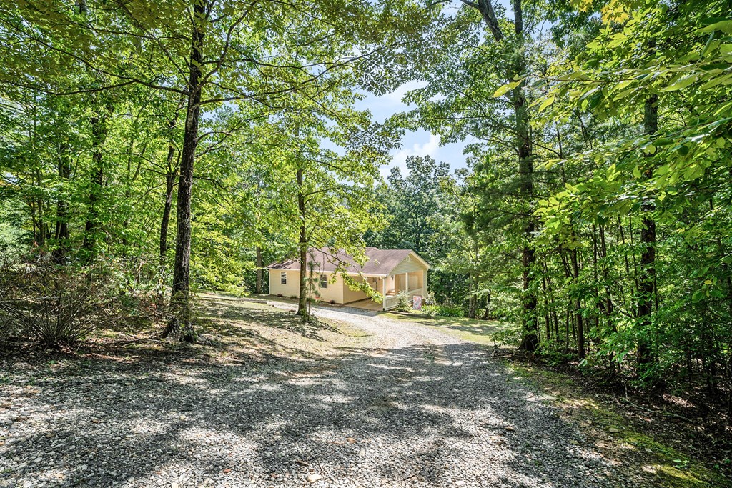 407686 Ellijay Residential