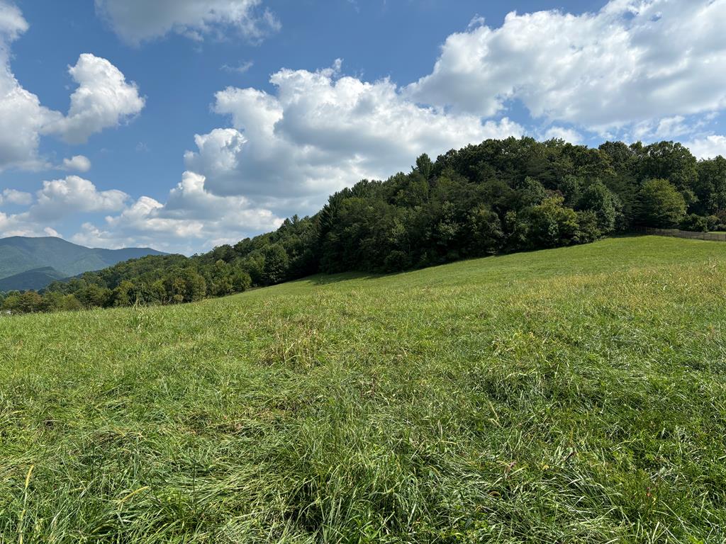 407895 Hayesville Land