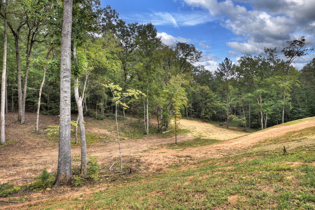 408999 Ellijay Residential