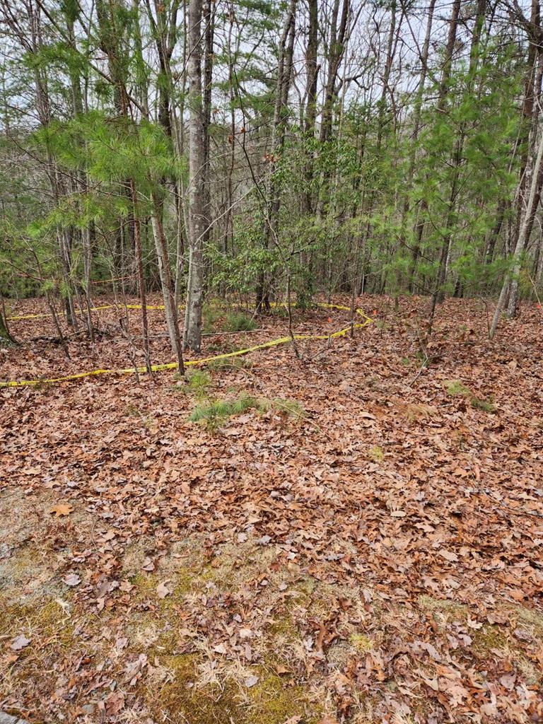 409010 Ellijay Land