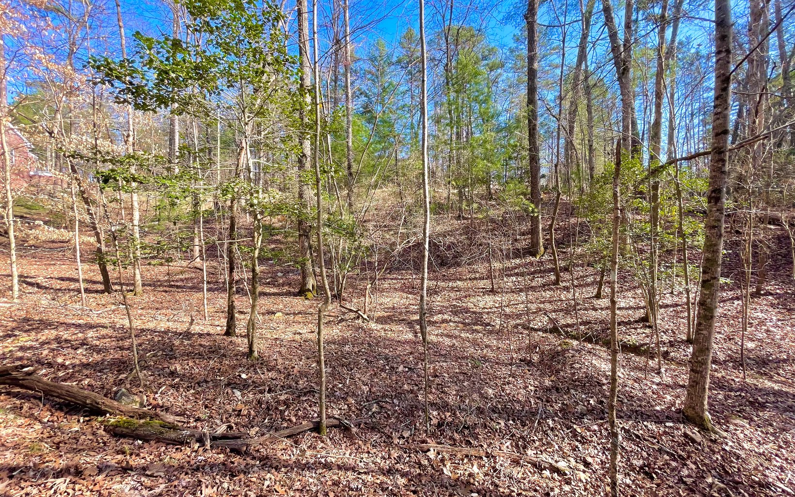 409015 Ellijay Land