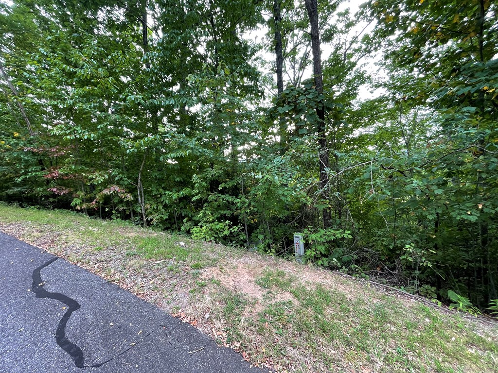 409031 Hayesville Land