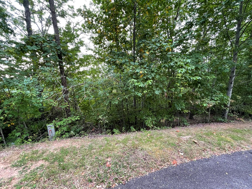 409031 Hayesville Land