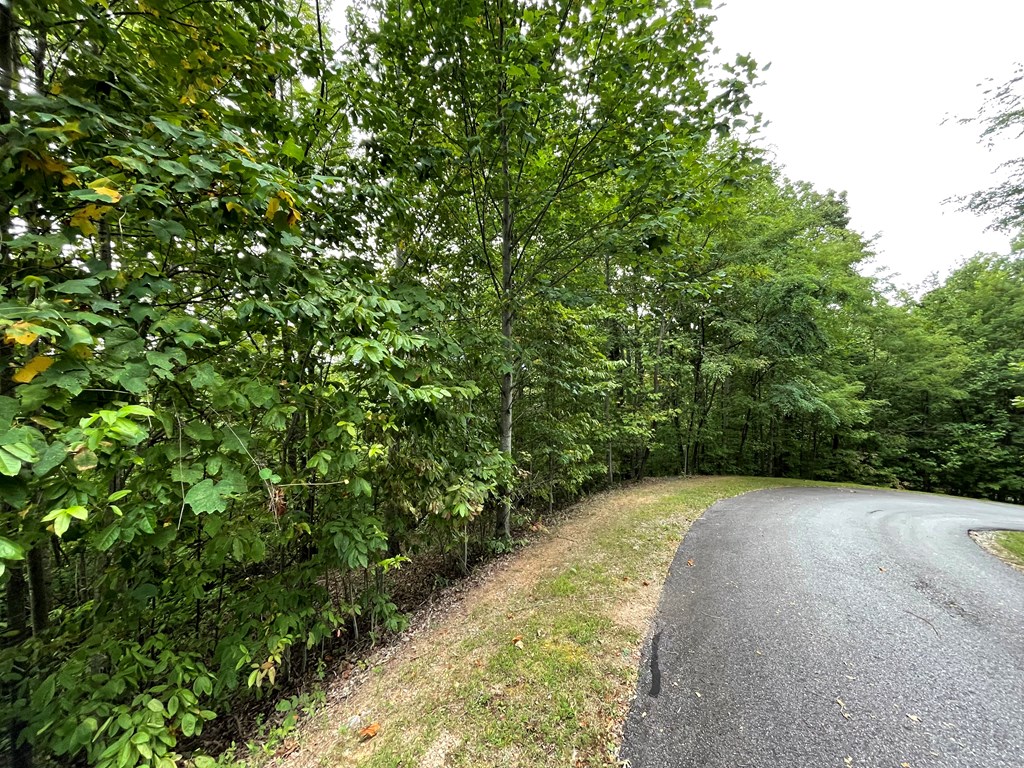409031 Hayesville Land