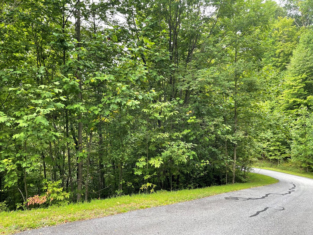 409031 Hayesville Land