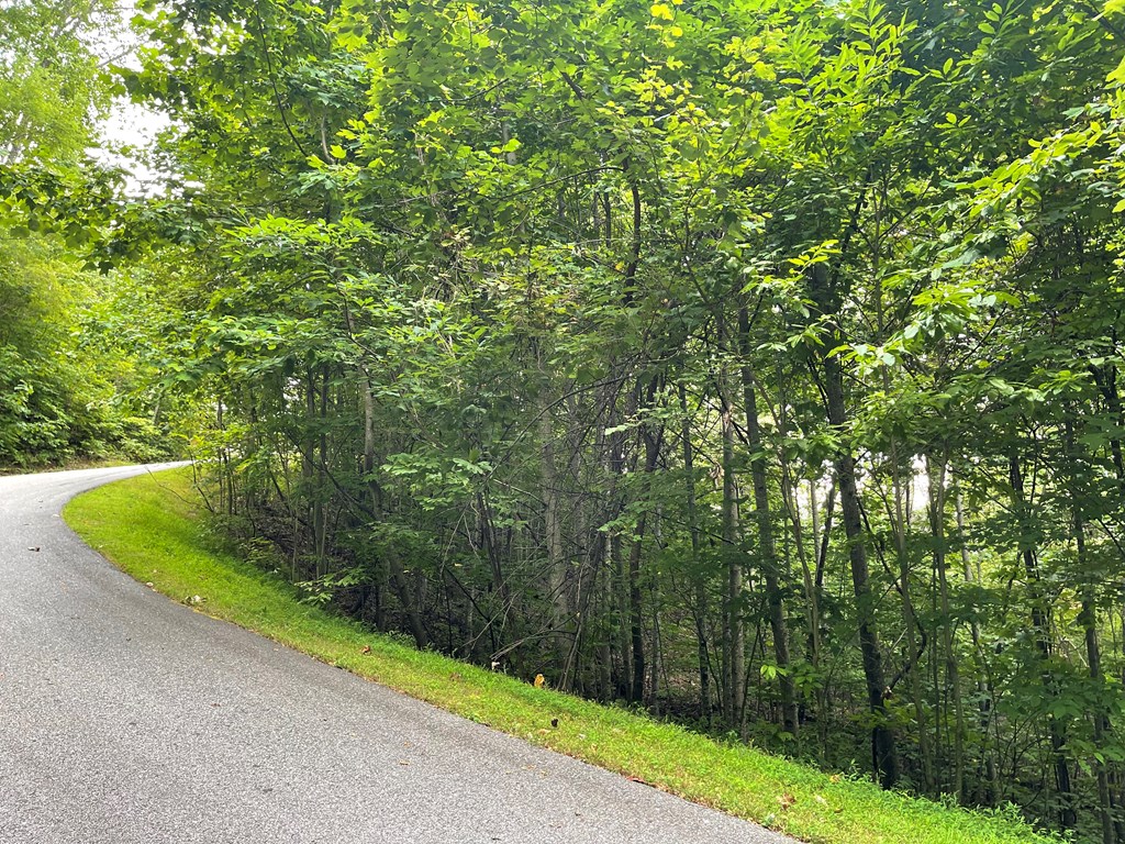 409031 Hayesville Land
