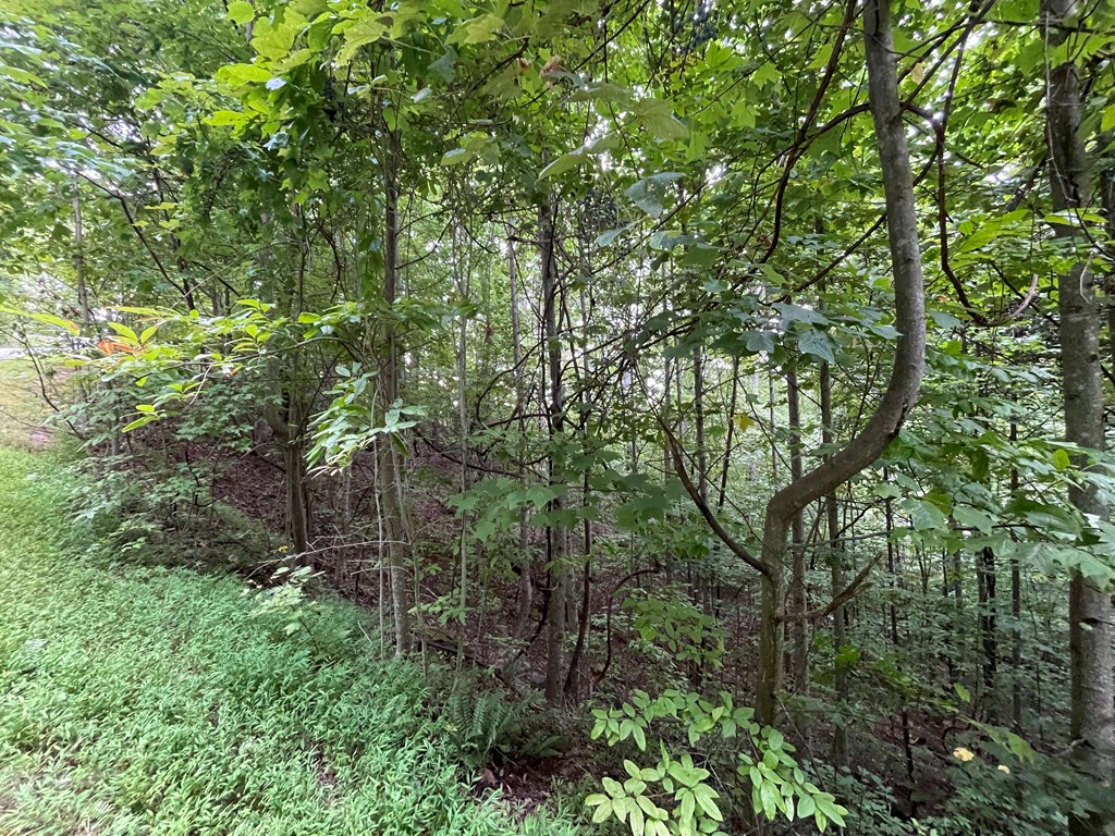 409031 Hayesville Land