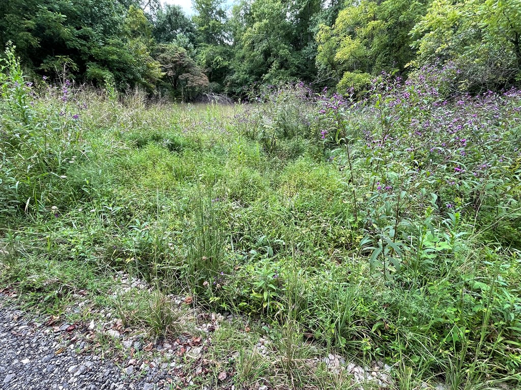 409035 Hayesville Land
