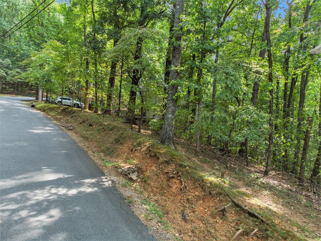 409062 Ellijay Land