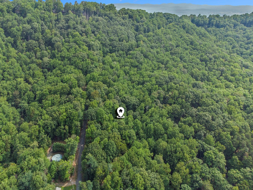 409062 Ellijay Land