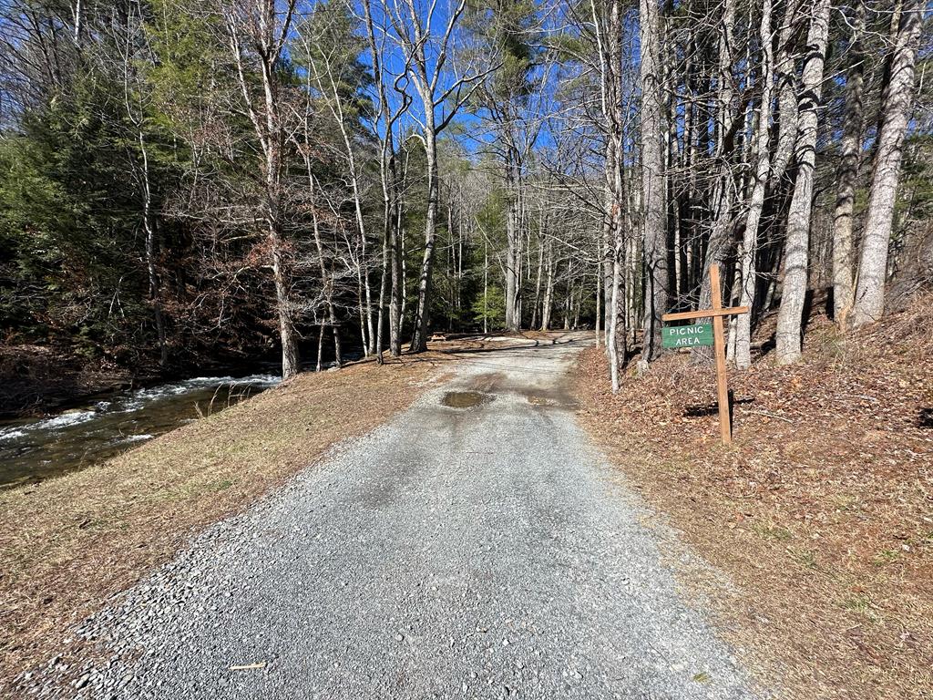 409064 Ellijay Land