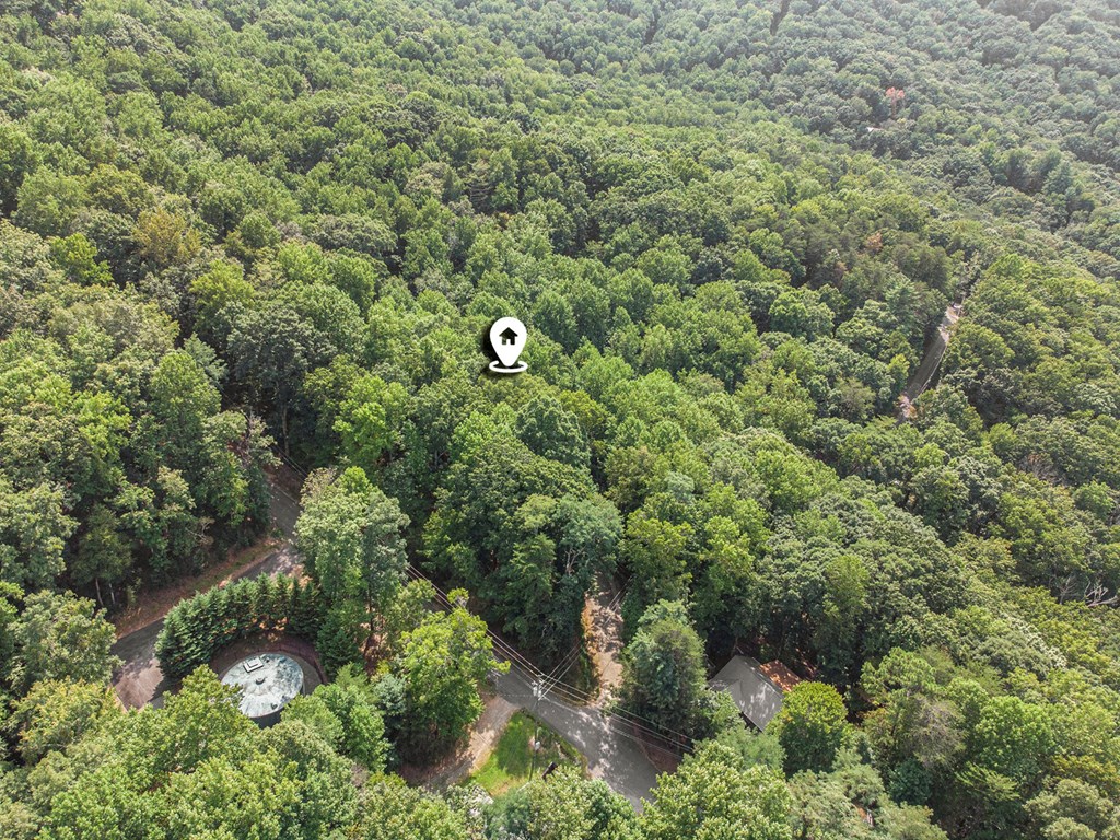 409064 Ellijay Land