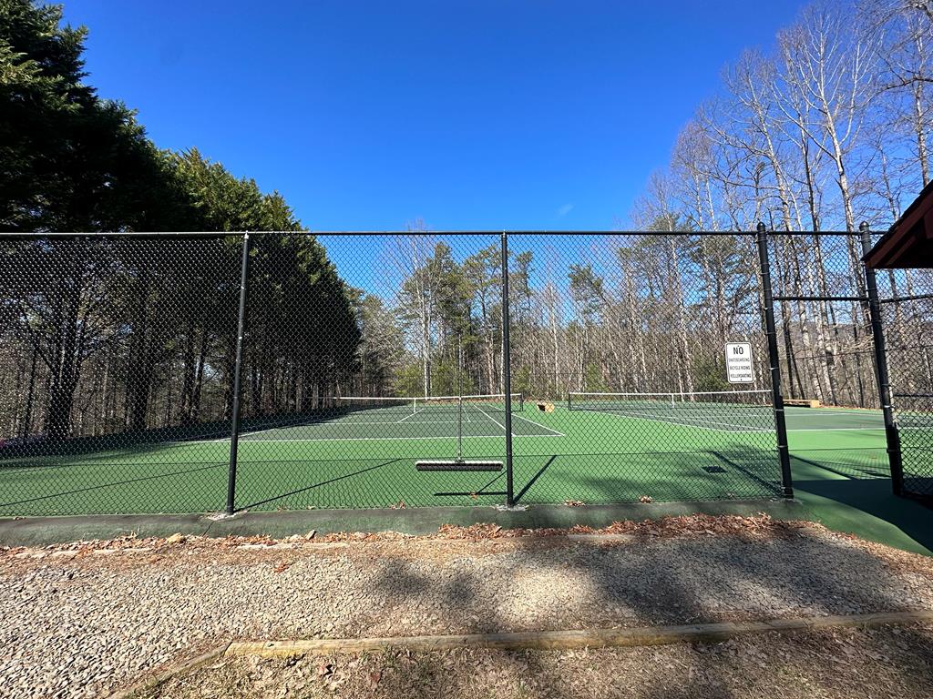 409064 Ellijay Land