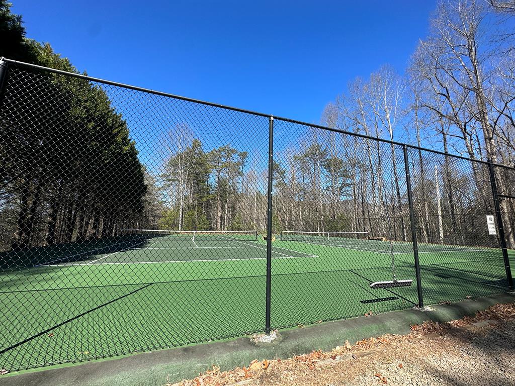 409064 Ellijay Land