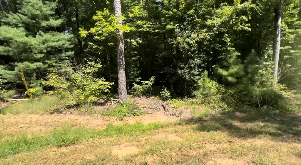 409067 Ellijay Land