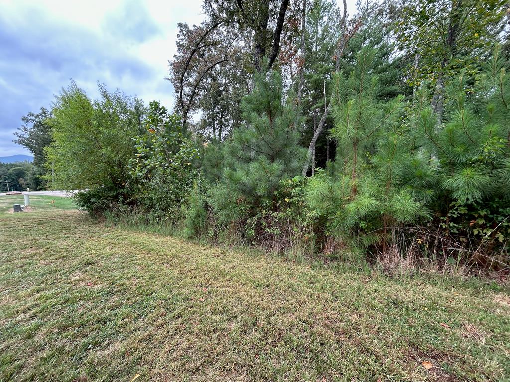 409090 Blairsville Land