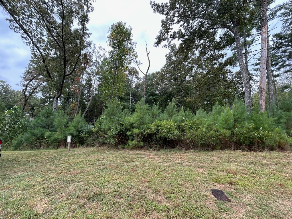 409090 Blairsville Land