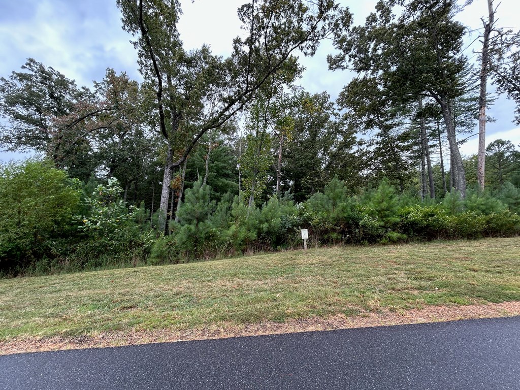 409090 Blairsville Land