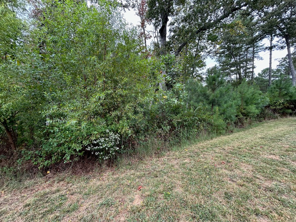 409090 Blairsville Land