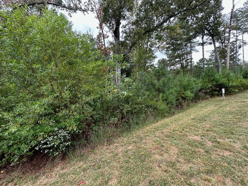 409090 Blairsville Land