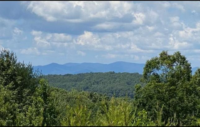 409108 Blue Ridge Land