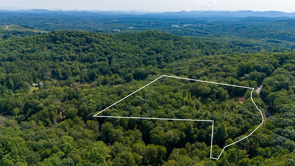 409108 Blue Ridge Land