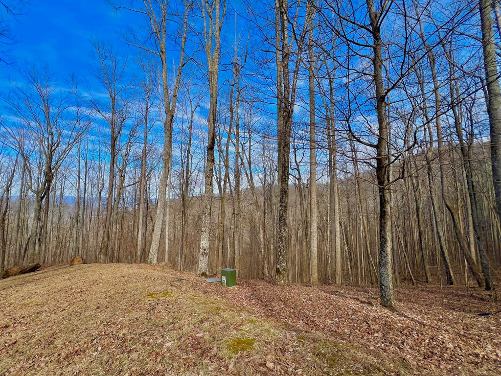 409130  Land