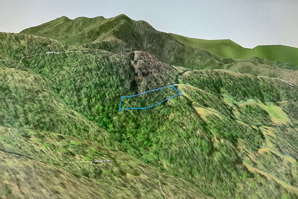 409130 Young Harris Land