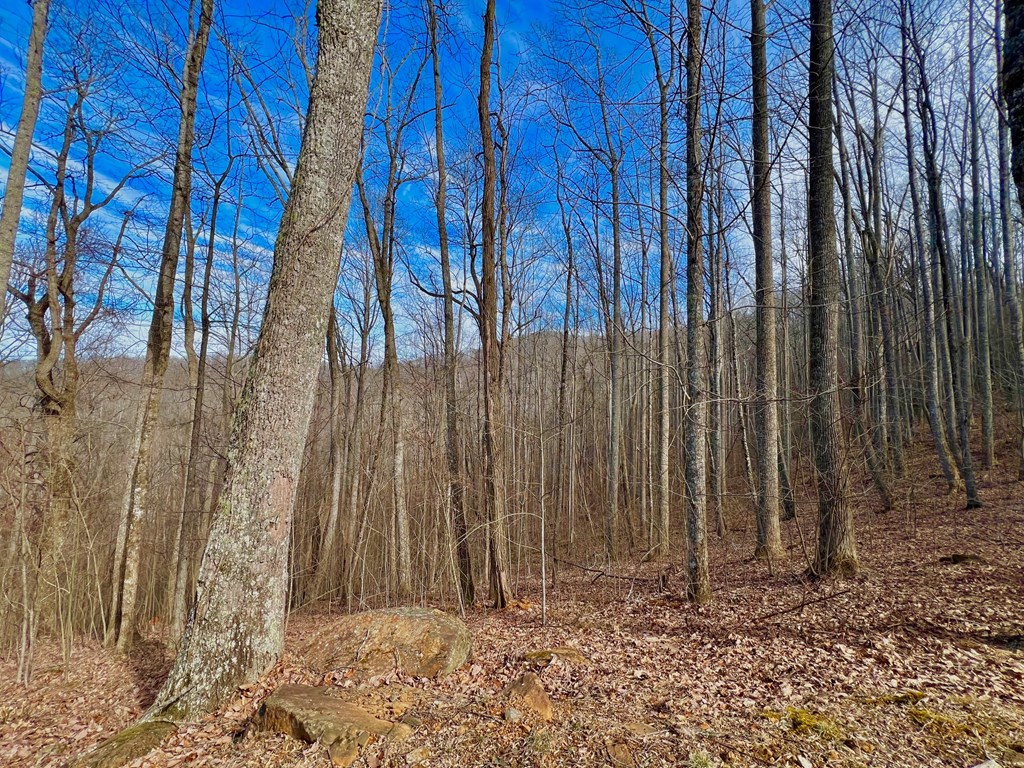 409130 Young Harris Land